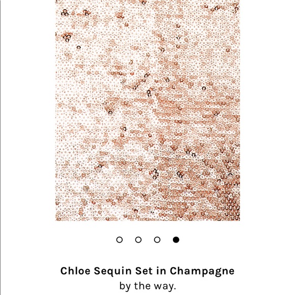 NWT By the way. Chloe sequin skirt top set - Picture 4 of 8